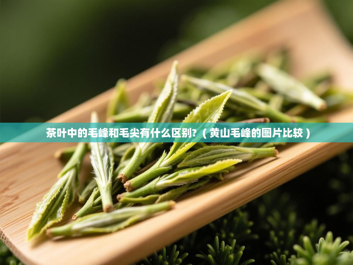  茶叶中的毛峰和毛尖有什么区别?  ( 黄山毛峰的图片比较 )
