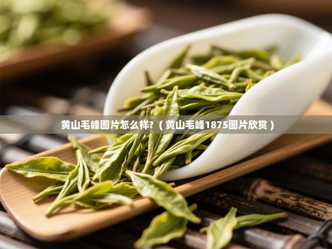 黄山毛峰图片怎么样? ( 黄山毛峰1875图片欣赏 ) 黄山毛峰图片怎么样? ( 黄山毛峰1875图片欣赏 )