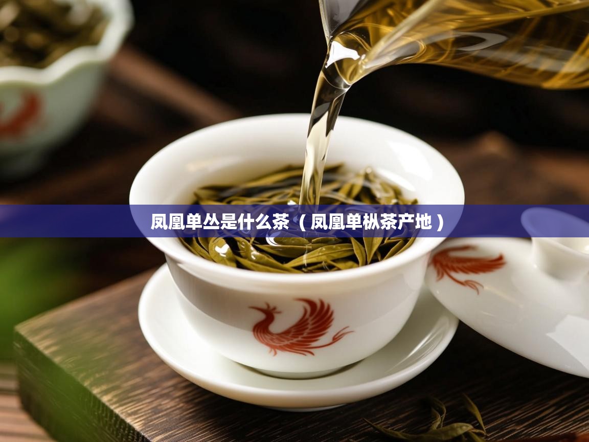  凤凰单丛是什么茶  ( 凤凰单枞茶产地 )