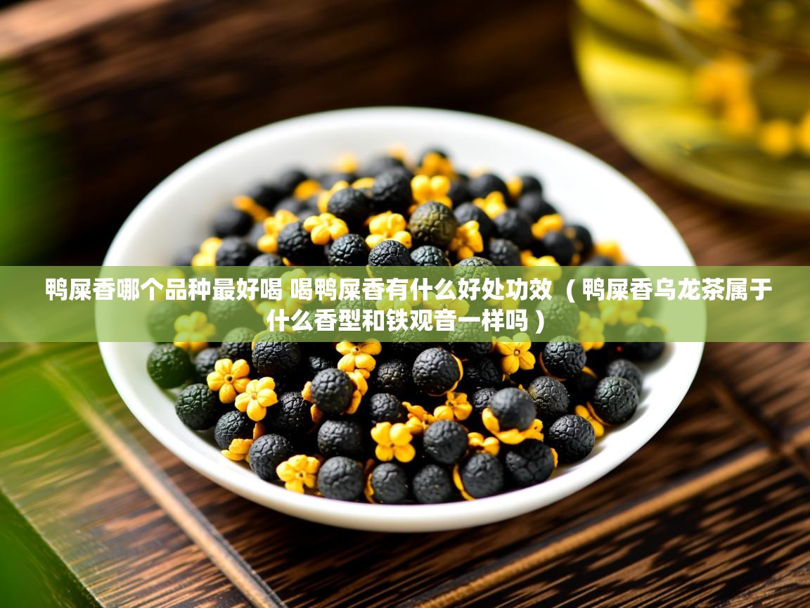 鸭屎香哪个品种最好喝 喝鸭屎香有什么好处功效 ( 鸭屎香乌龙茶属于什么香型和铁观音一样吗 ) 鸭屎香哪个品种最好喝 喝鸭屎香有什么好处功效 ( 鸭屎香乌龙茶属于什么香型和铁观音一样吗 )