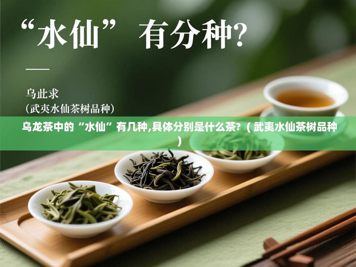 乌龙茶中的“水仙”有几种,具体分别是什么茶? ( 武夷水仙茶树品种 ) 乌龙茶中的“水仙”有几种,具体分别是什么茶? ( 武夷水仙茶树品种 )