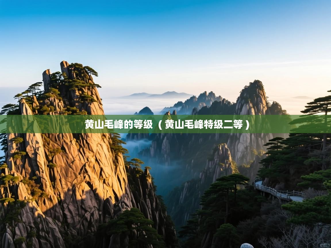  黄山毛峰的等级  ( 黄山毛峰特级二等 )