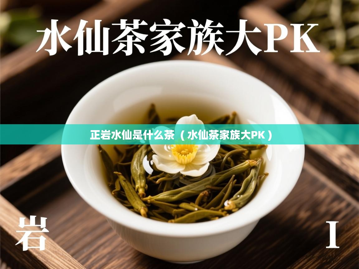  正岩水仙是什么茶  ( 水仙茶家族大PK )