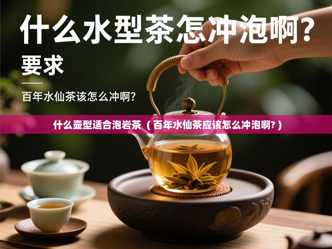  什么壶型适合泡岩茶  ( 百年水仙茶应该怎么冲泡啊? )