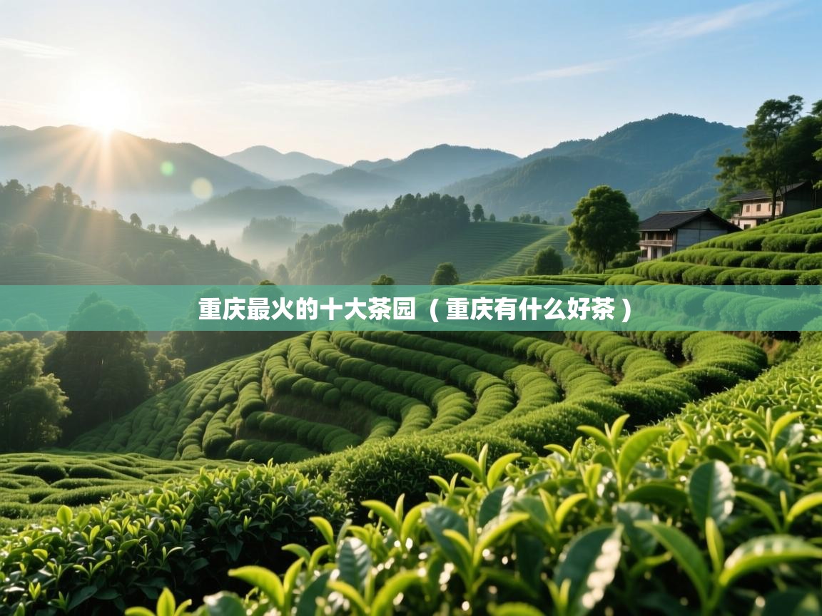  重庆最火的十大茶园  ( 重庆有什么好茶 )