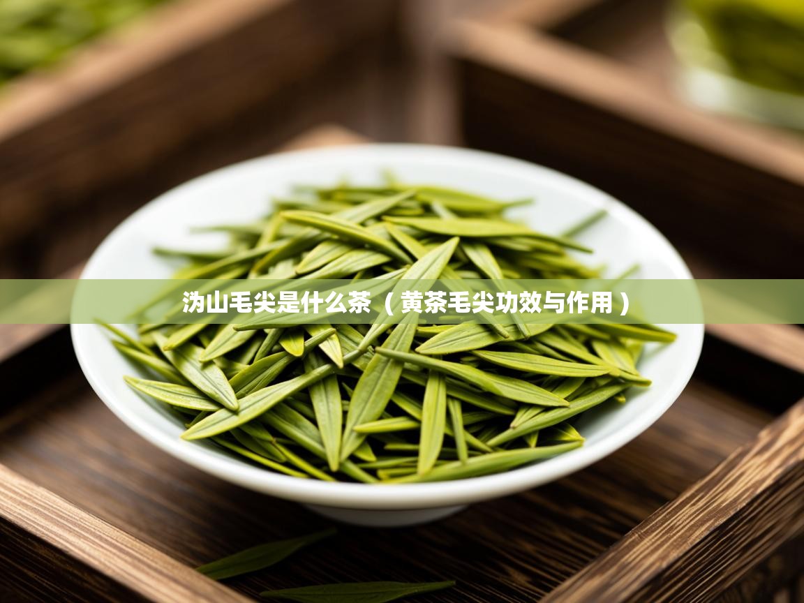  沩山毛尖是什么茶  ( 黄茶毛尖功效与作用 )