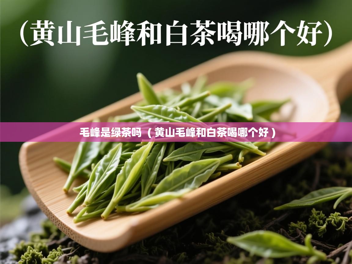  毛峰是绿茶吗  ( 黄山毛峰和白茶喝哪个好 )