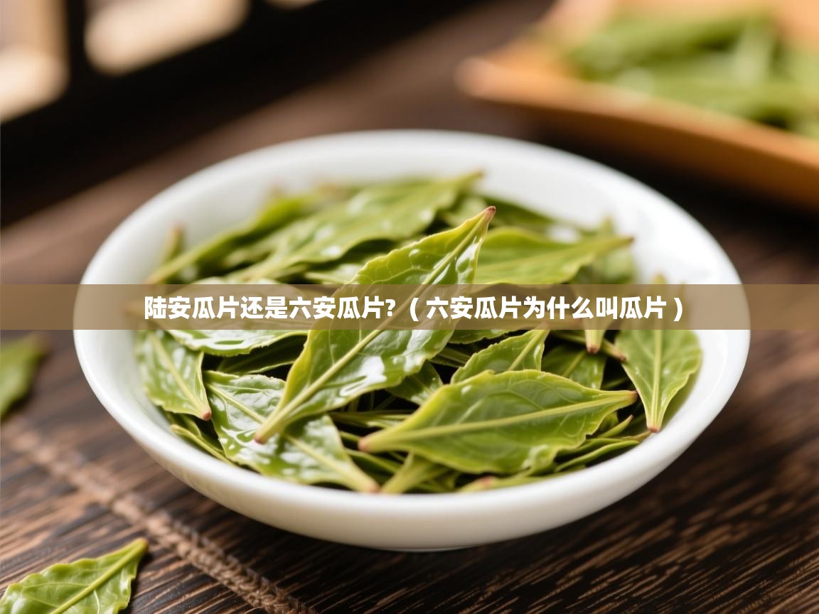  陆安瓜片还是六安瓜片?  ( 六安瓜片为什么叫瓜片 )