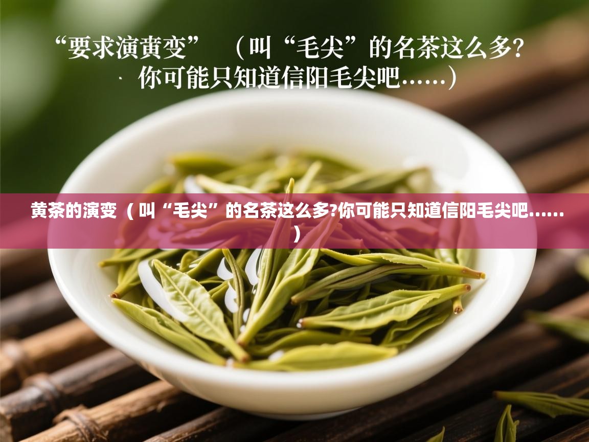  黄茶的演变  ( 叫“毛尖”的名茶这么多?你可能只知道信阳毛尖吧…… )