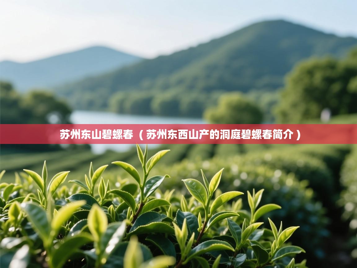  苏州东山碧螺春  ( 苏州东西山产的洞庭碧螺春简介 )