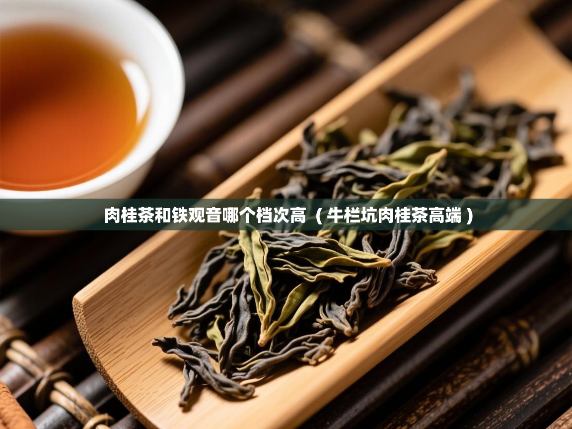  肉桂茶和铁观音哪个档次高  ( 牛栏坑肉桂茶高端 )