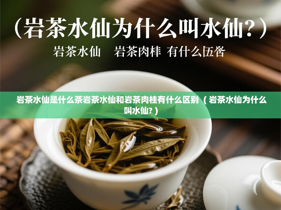  岩茶水仙是什么茶岩茶水仙和岩茶肉桂有什么区别  ( 岩茶水仙为什么叫水仙? )