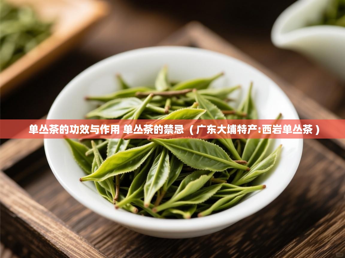  单丛茶的功效与作用 单丛茶的禁忌  ( 广东大埔特产:西岩单丛茶 )