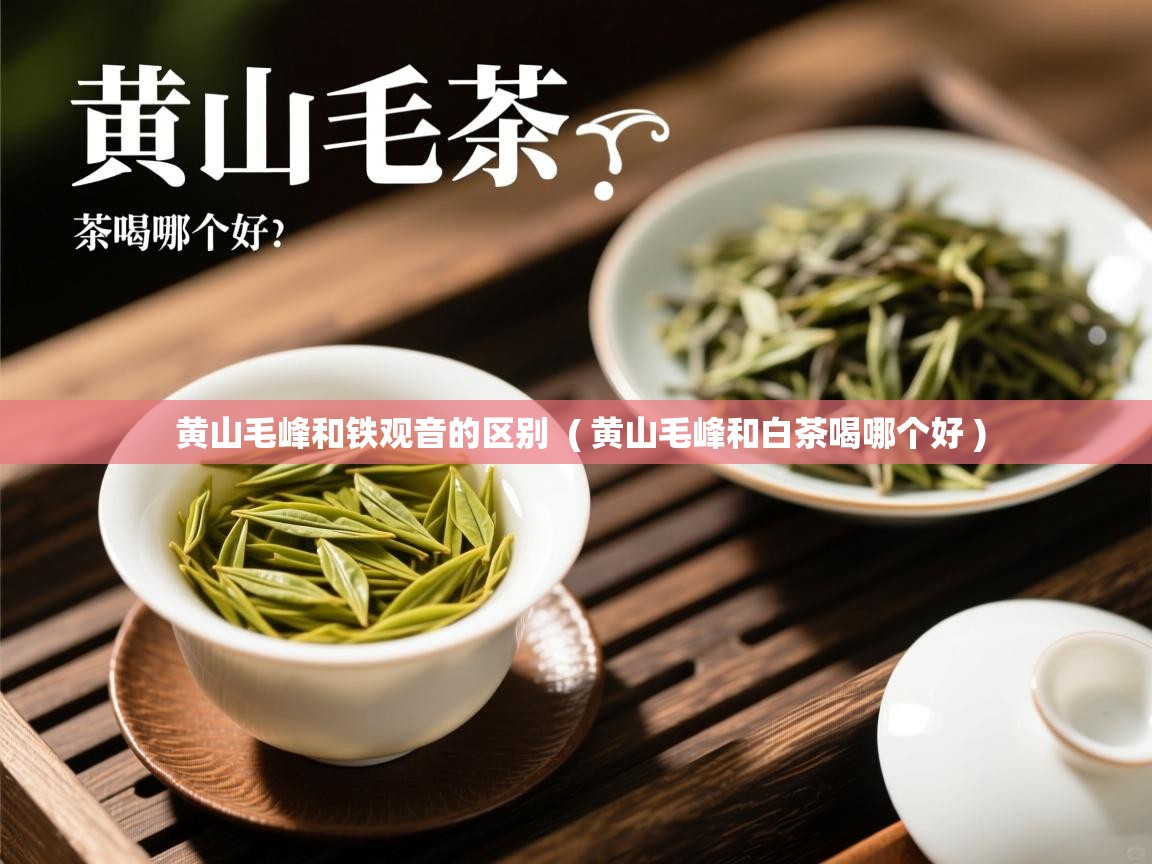  黄山毛峰和铁观音的区别  ( 黄山毛峰和白茶喝哪个好 )