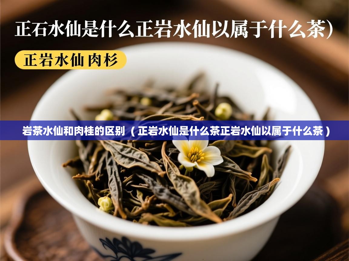  岩茶水仙和肉桂的区别  ( 正岩水仙是什么茶正岩水仙以属于什么茶 )