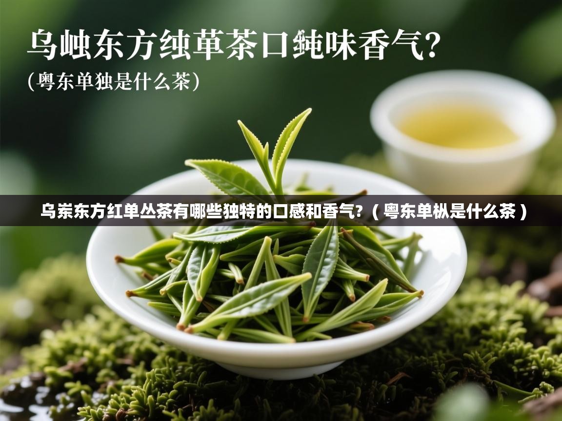  乌岽东方红单丛茶有哪些独特的口感和香气?  ( 粤东单枞是什么茶 )