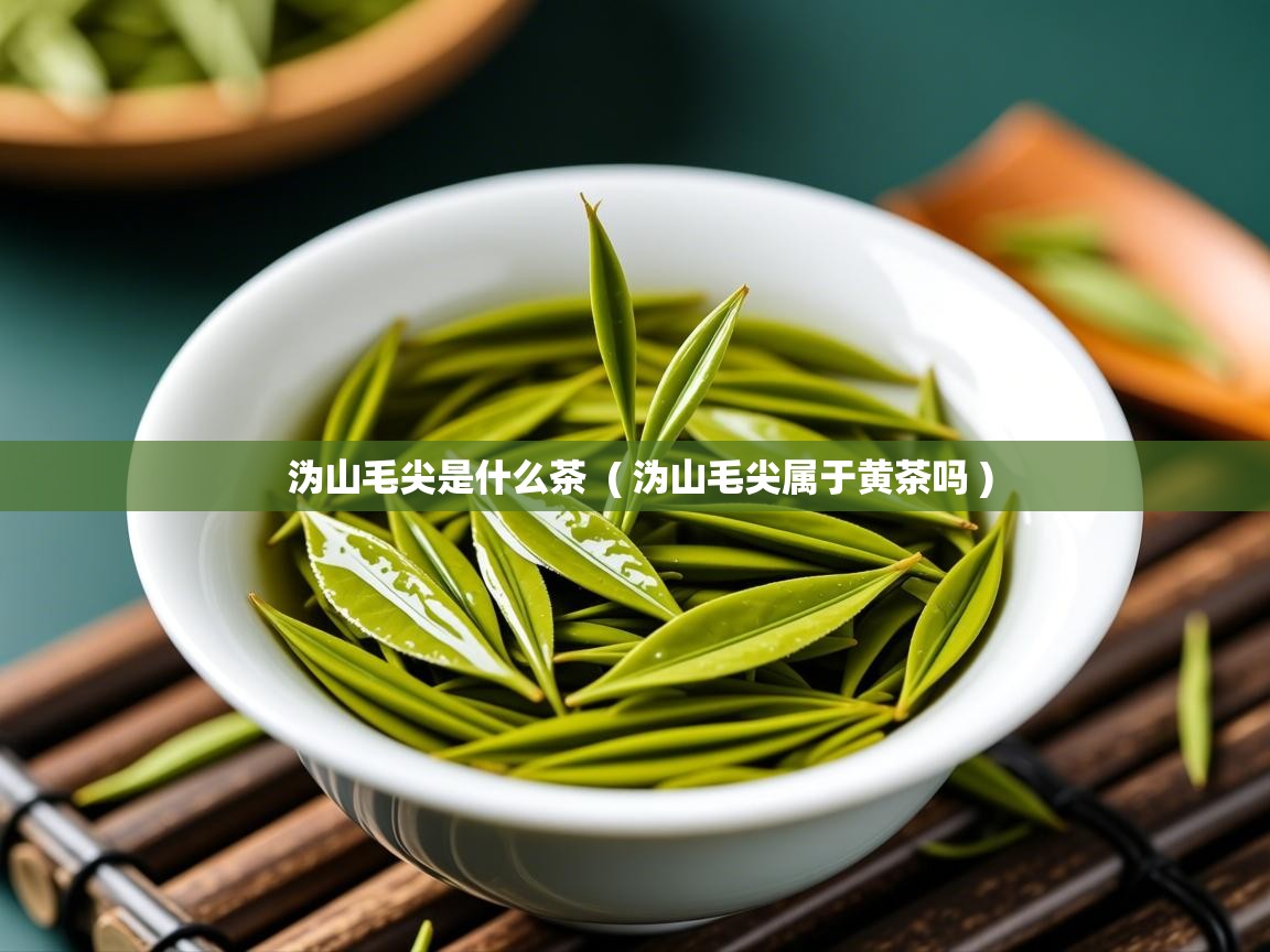  沩山毛尖是什么茶  ( 沩山毛尖属于黄茶吗 )