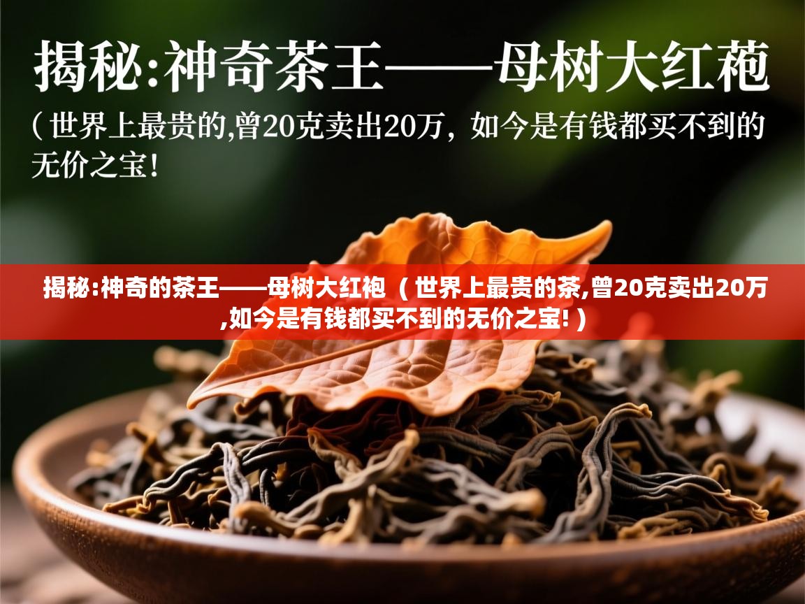  揭秘:神奇的茶王——母树大红袍  ( 世界上最贵的茶,曾20克卖出20万,如今是有钱都买不到的无价之宝! )
