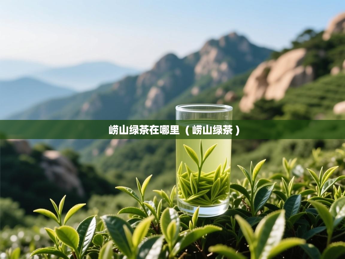  崂山绿茶在哪里  ( 崂山绿茶 )