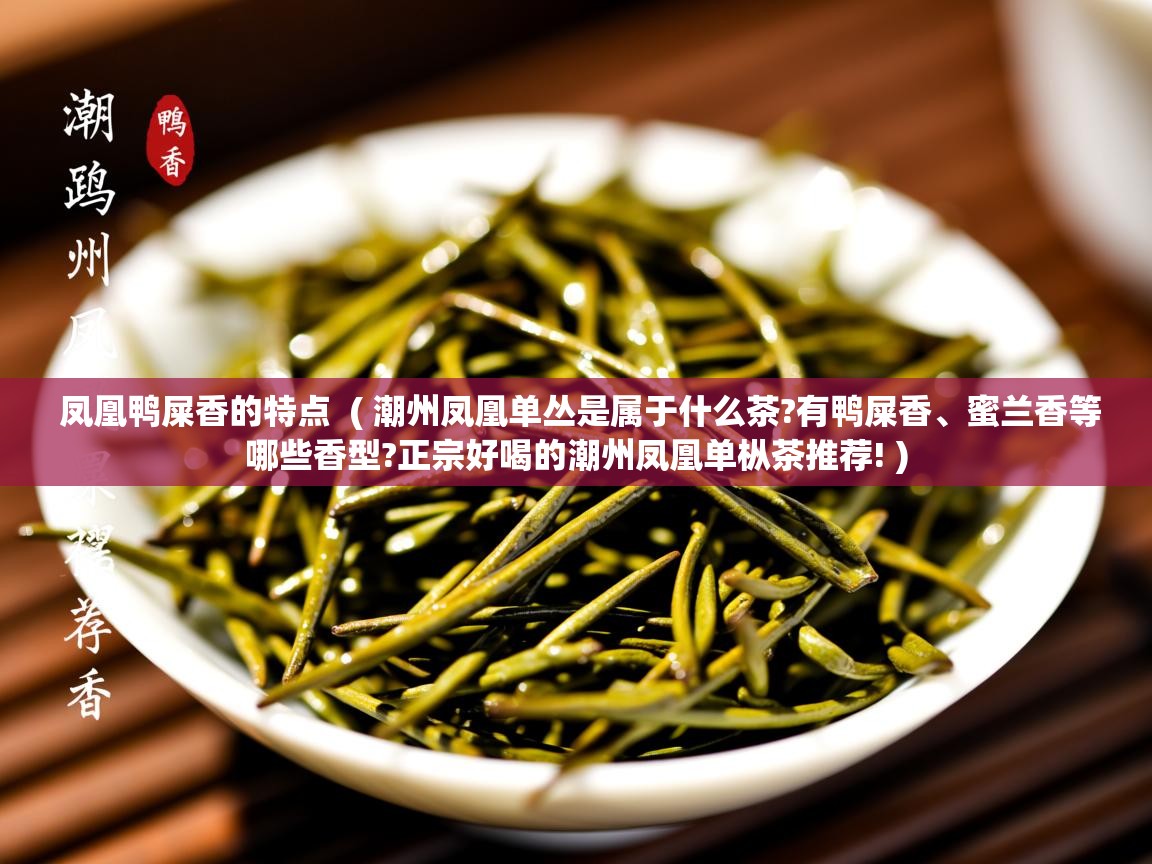  凤凰鸭屎香的特点  ( 潮州凤凰单丛是属于什么茶?有鸭屎香、蜜兰香等哪些香型?正宗好喝的潮州凤凰单枞茶推荐! )
