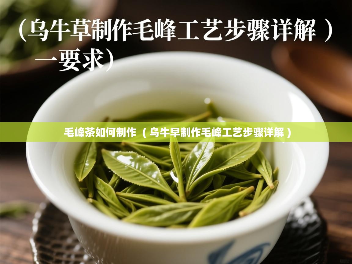  毛峰茶如何制作  ( 乌牛早制作毛峰工艺步骤详解 )
