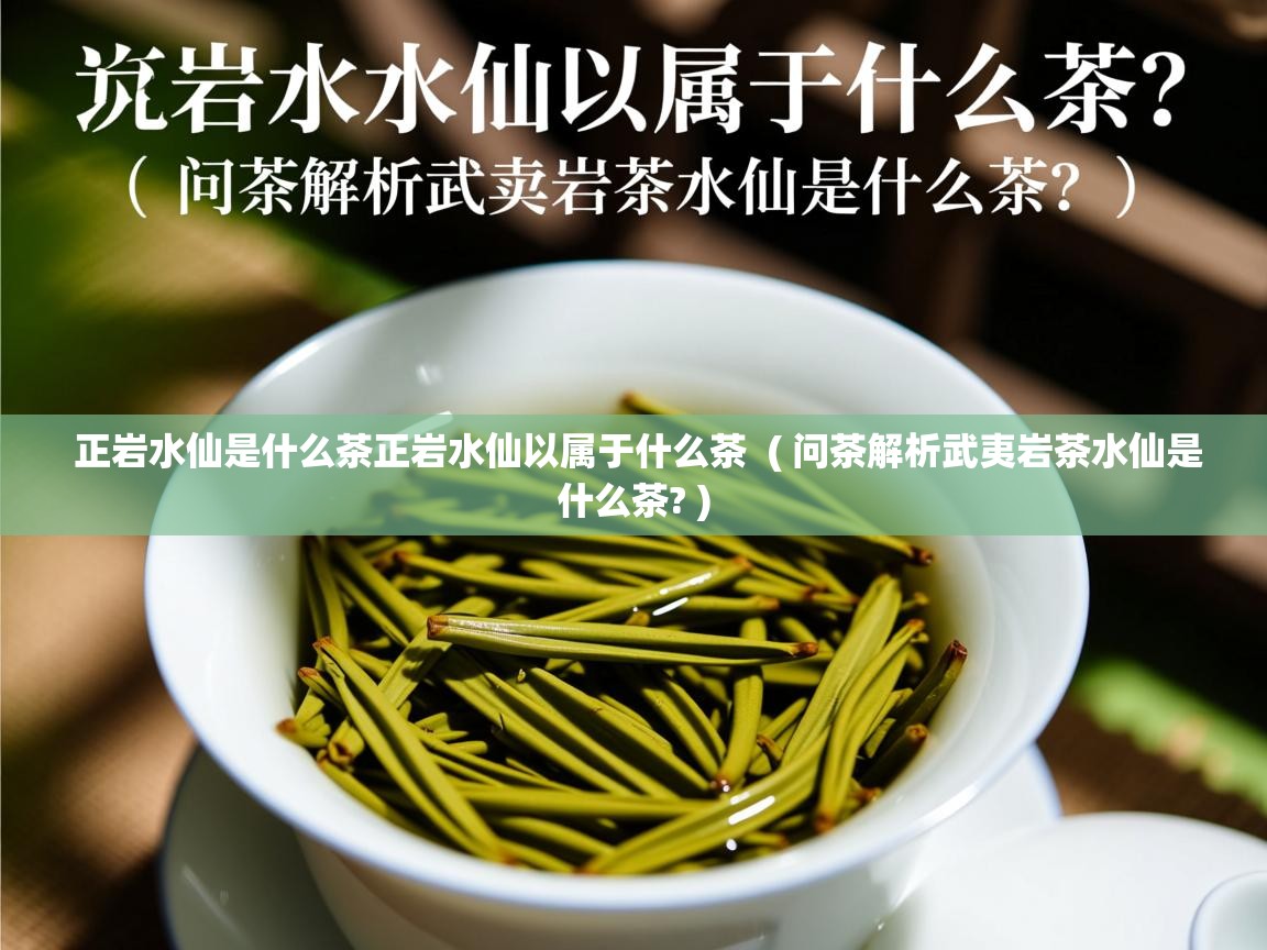  正岩水仙是什么茶正岩水仙以属于什么茶  ( 问茶解析武夷岩茶水仙是什么茶? )