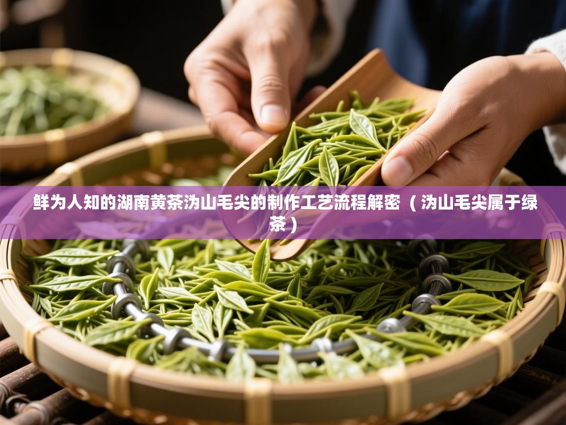  鲜为人知的湖南黄茶沩山毛尖的制作工艺流程解密  ( 沩山毛尖属于绿茶 )