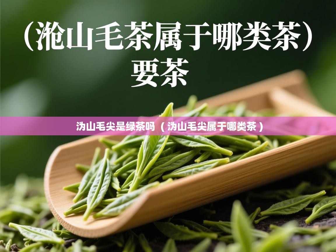  沩山毛尖是绿茶吗  ( 沩山毛尖属于哪类茶 )