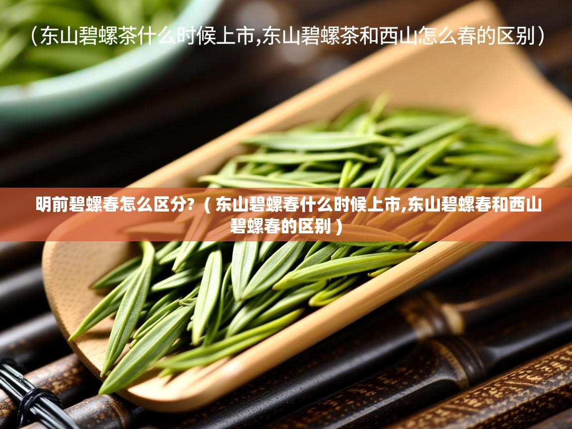  明前碧螺春怎么区分?  ( 东山碧螺春什么时候上市,东山碧螺春和西山碧螺春的区别 )