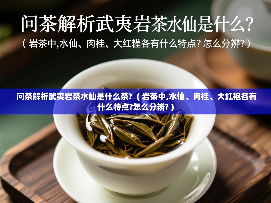  问茶解析武夷岩茶水仙是什么茶?  ( 岩茶中,水仙、肉桂、大红袍各有什么特点?怎么分辨? )