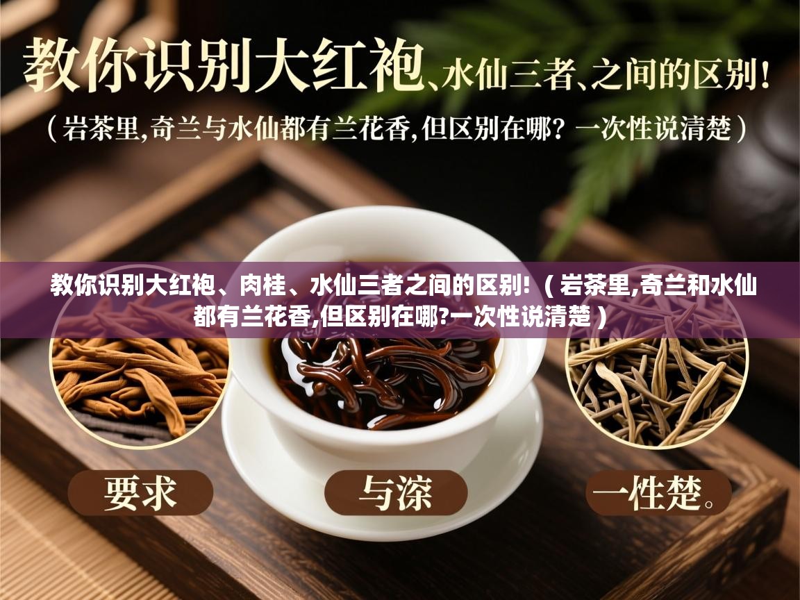  教你识别大红袍、肉桂、水仙三者之间的区别!  ( 岩茶里,奇兰和水仙都有兰花香,但区别在哪?一次性说清楚 )
