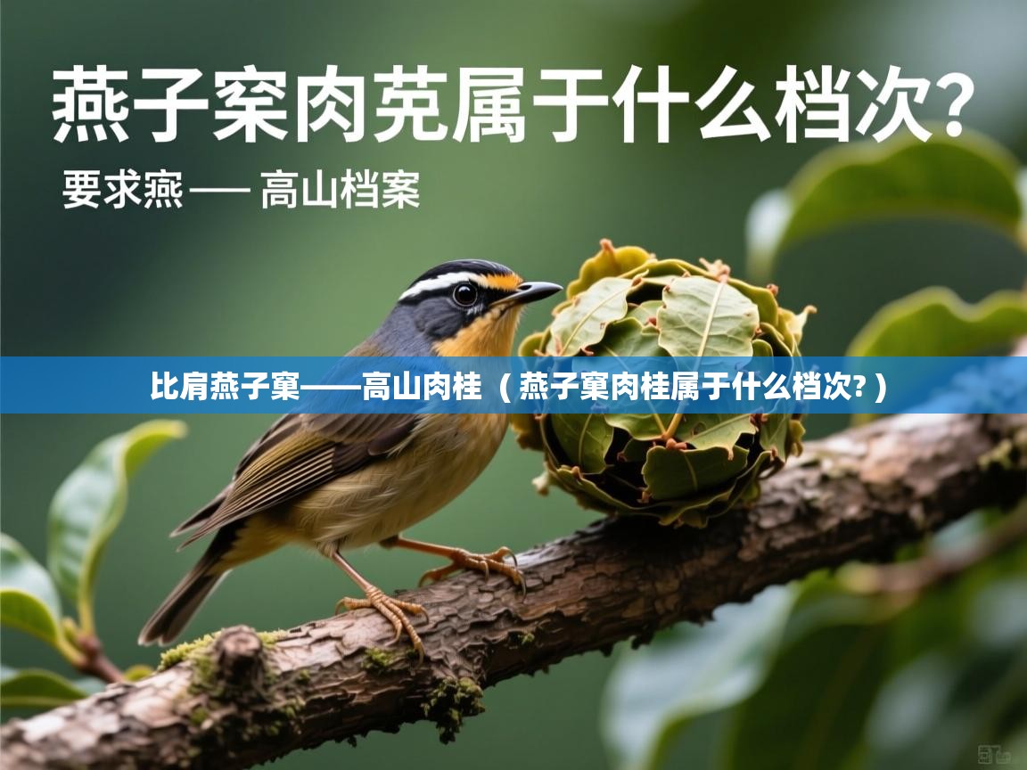 比肩燕子窠——高山肉桂 ( 燕子窠肉桂属于什么档次? ) 比肩燕子窠——高山肉桂 ( 燕子窠肉桂属于什么档次? )