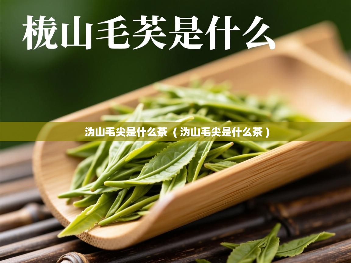  沩山毛尖是什么茶  ( 沩山毛尖是什么茶 )