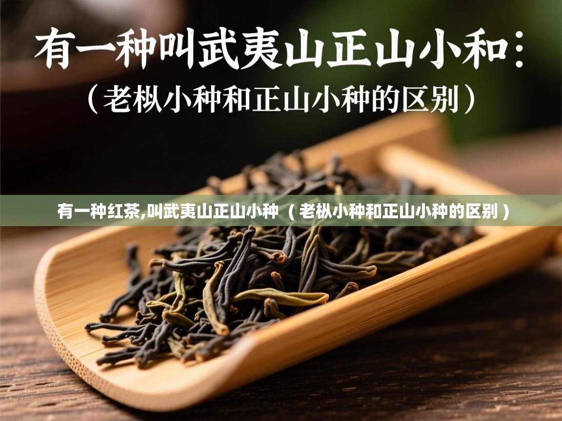  有一种红茶,叫武夷山正山小种  ( 老枞小种和正山小种的区别 )