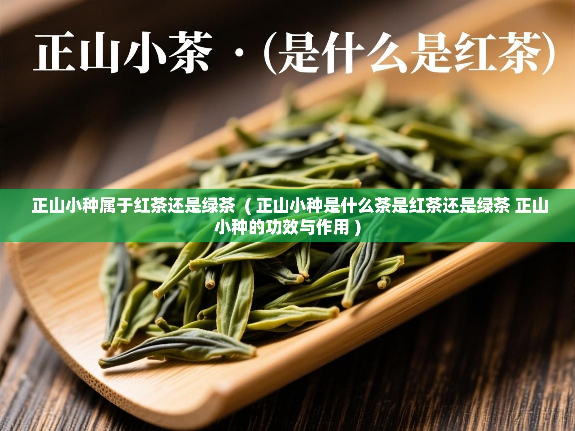  正山小种属于红茶还是绿茶  ( 正山小种是什么茶是红茶还是绿茶 正山小种的功效与作用 )