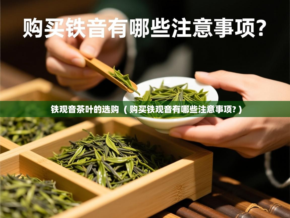  铁观音茶叶的选购  ( 购买铁观音有哪些注意事项? )