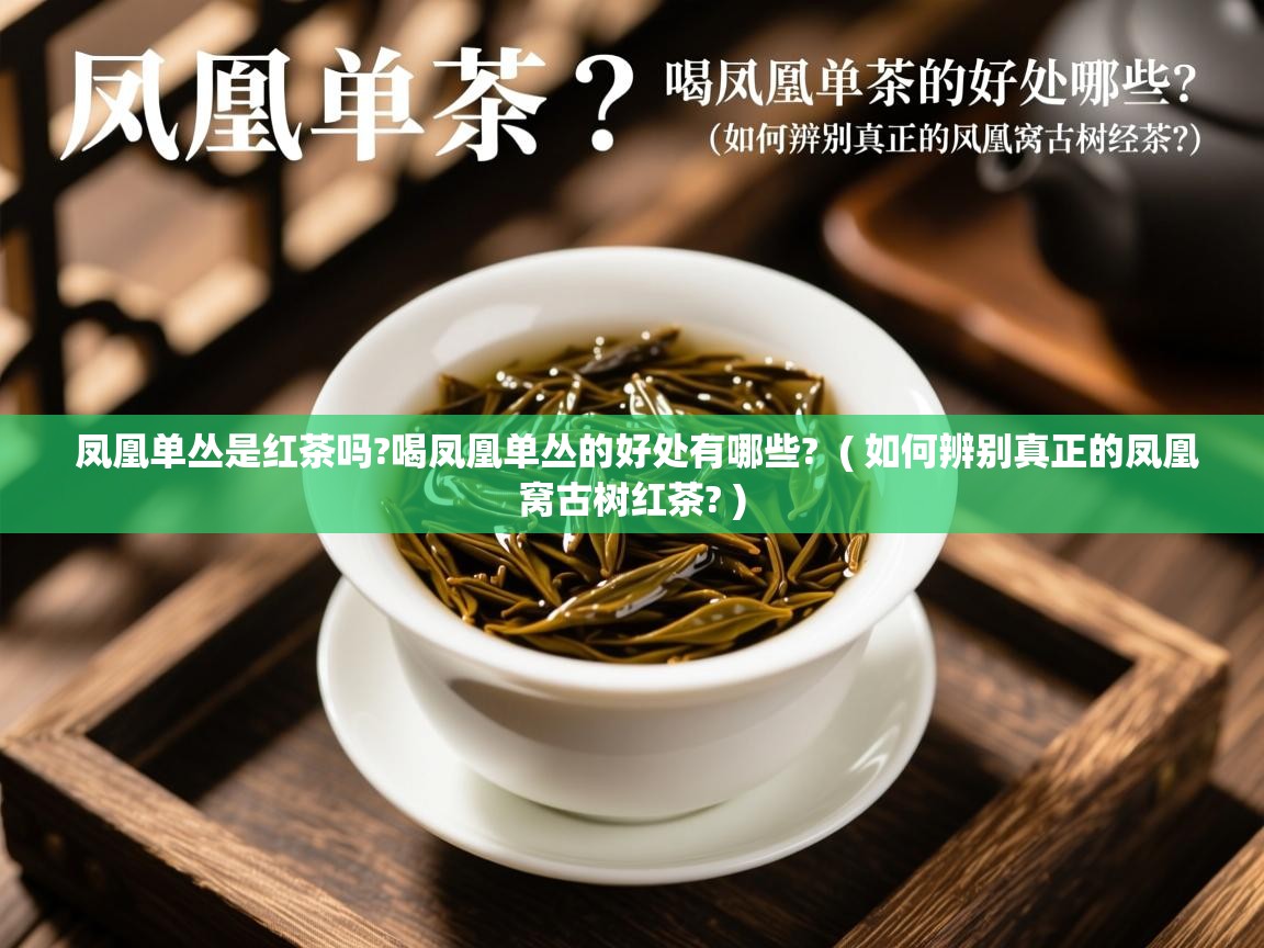  凤凰单丛是红茶吗?喝凤凰单丛的好处有哪些?  ( 如何辨别真正的凤凰窝古树红茶? )