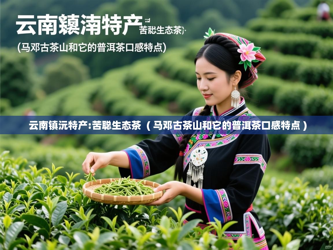 云南镇沅特产:苦聪生态茶  ( 马邓古茶山和它的普洱茶口感特点 )
