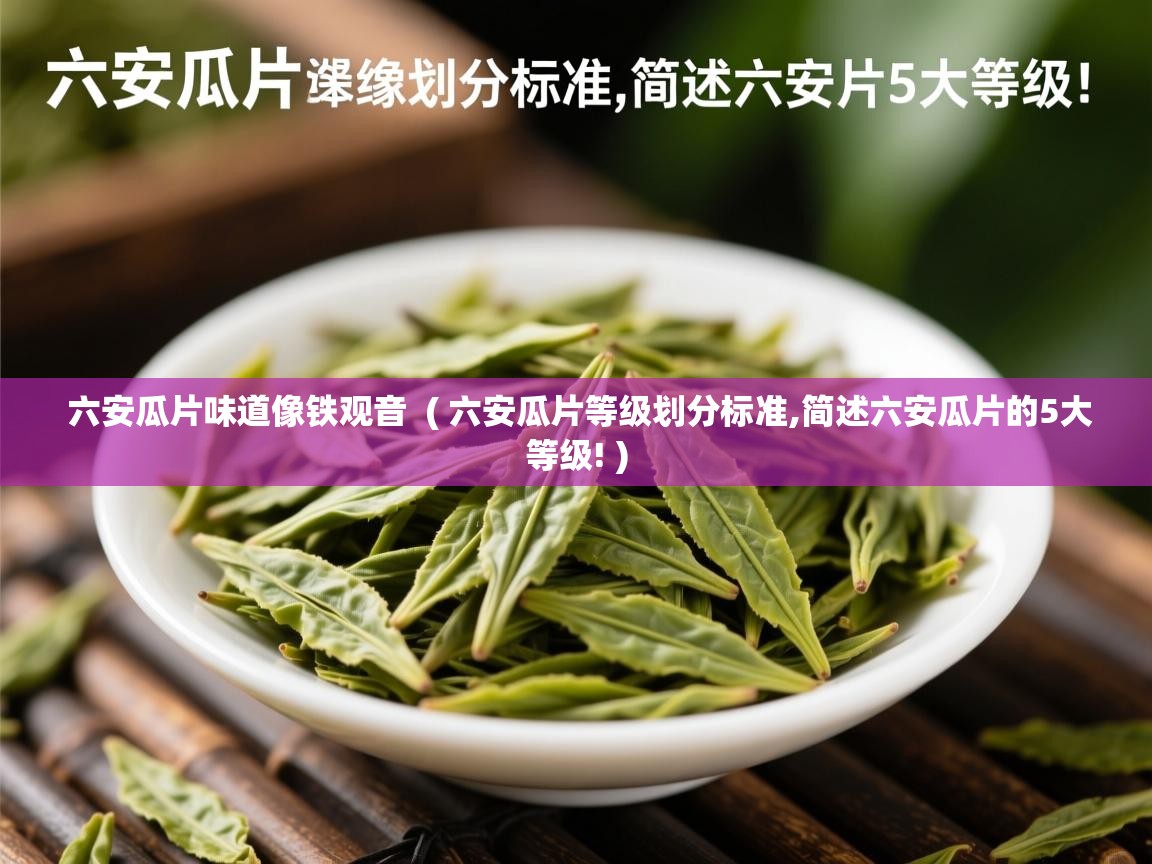  六安瓜片味道像铁观音  ( 六安瓜片等级划分标准,简述六安瓜片的5大等级! )