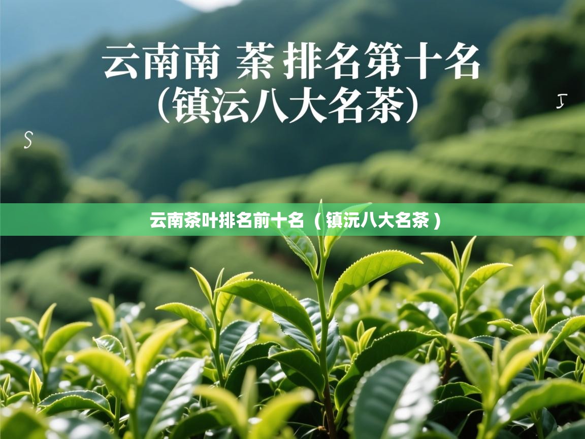  云南茶叶排名前十名  ( 镇沅八大名茶 )