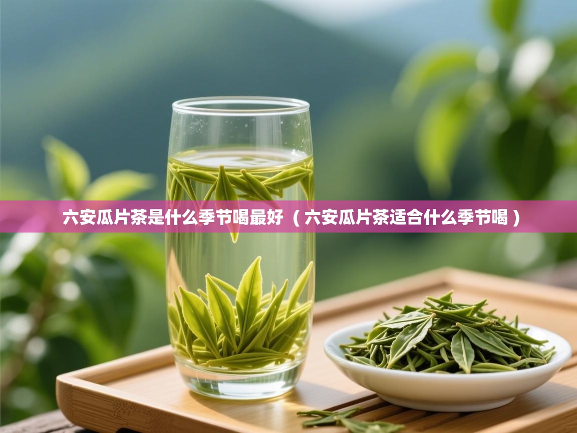  六安瓜片茶是什么季节喝最好  ( 六安瓜片茶适合什么季节喝 )