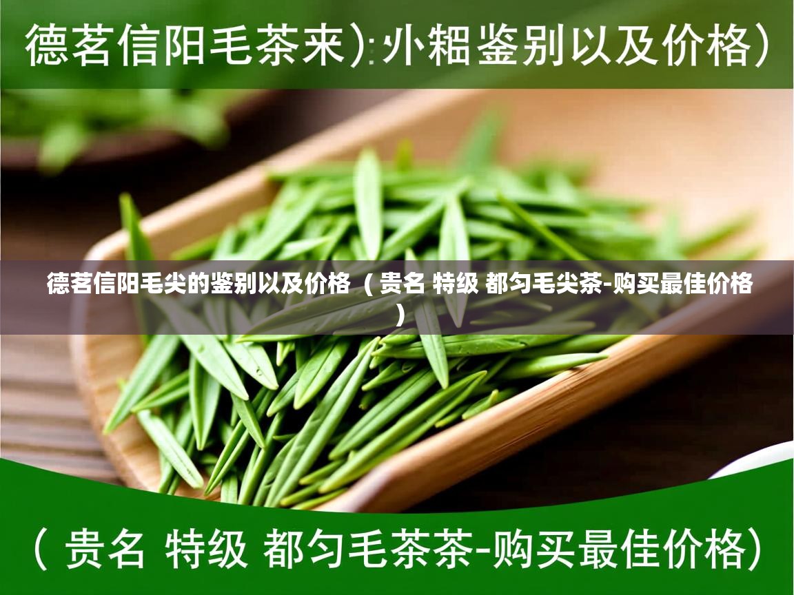  德茗信阳毛尖的鉴别以及价格  ( 贵名 特级 都匀毛尖茶-购买最佳价格 )