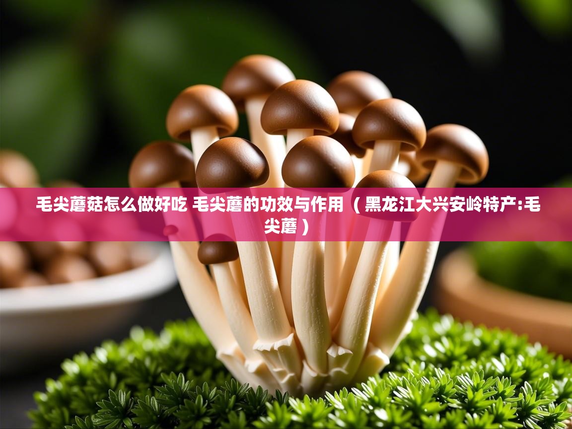  毛尖蘑菇怎么做好吃 毛尖蘑的功效与作用  ( 黑龙江大兴安岭特产:毛尖蘑 )