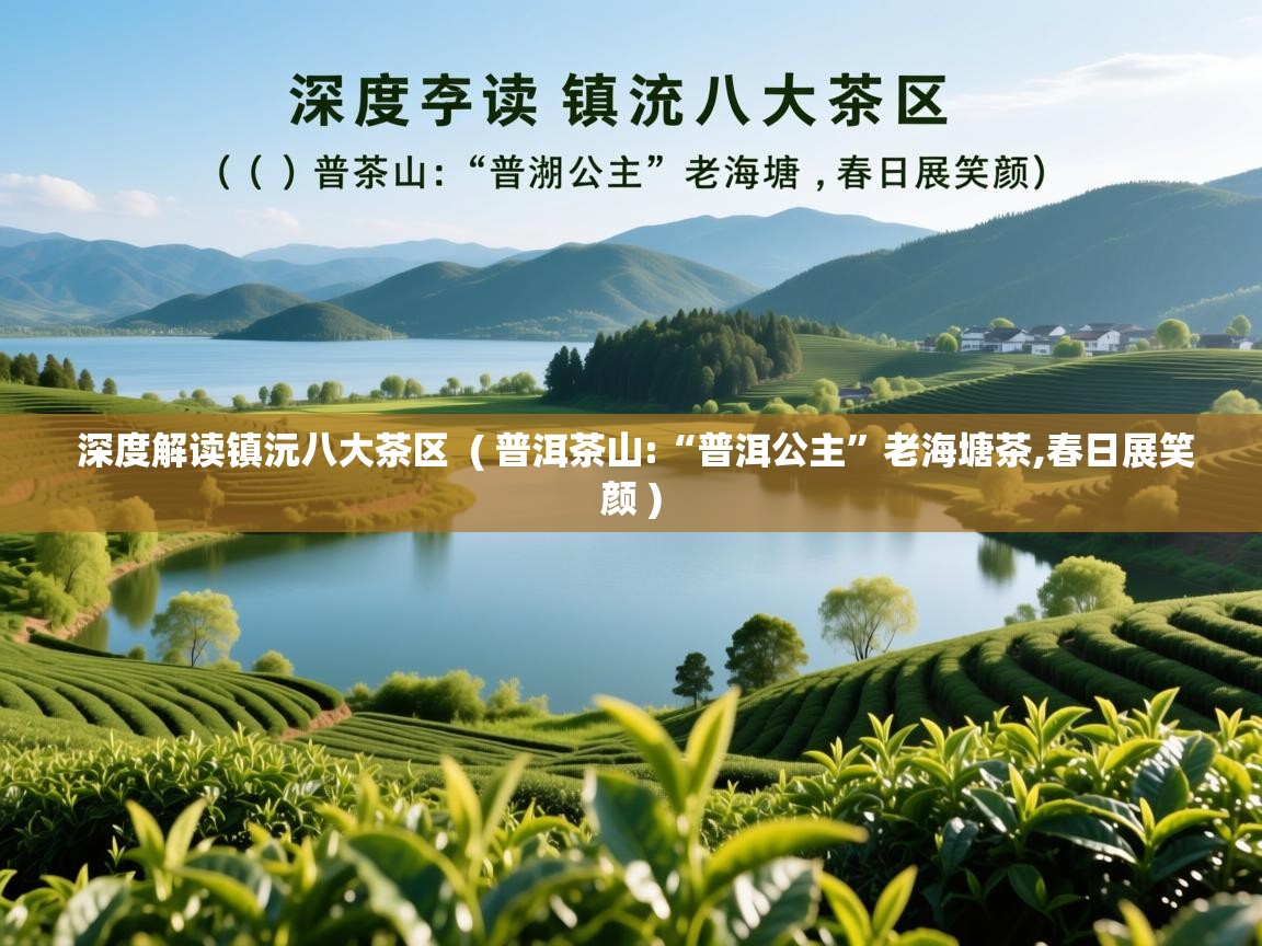  深度解读镇沅八大茶区  ( 普洱茶山:“普洱公主”老海塘茶,春日展笑颜 )