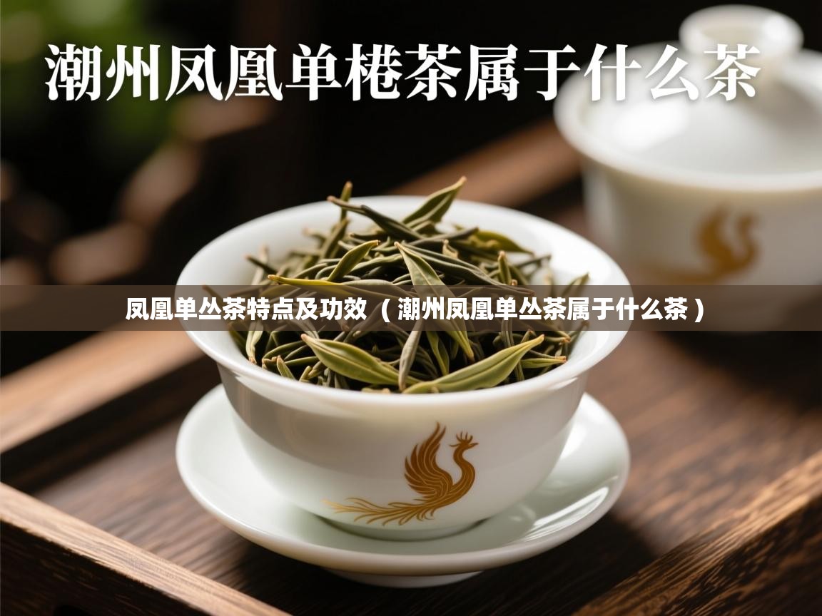  凤凰单丛茶特点及功效  ( 潮州凤凰单丛茶属于什么茶 )