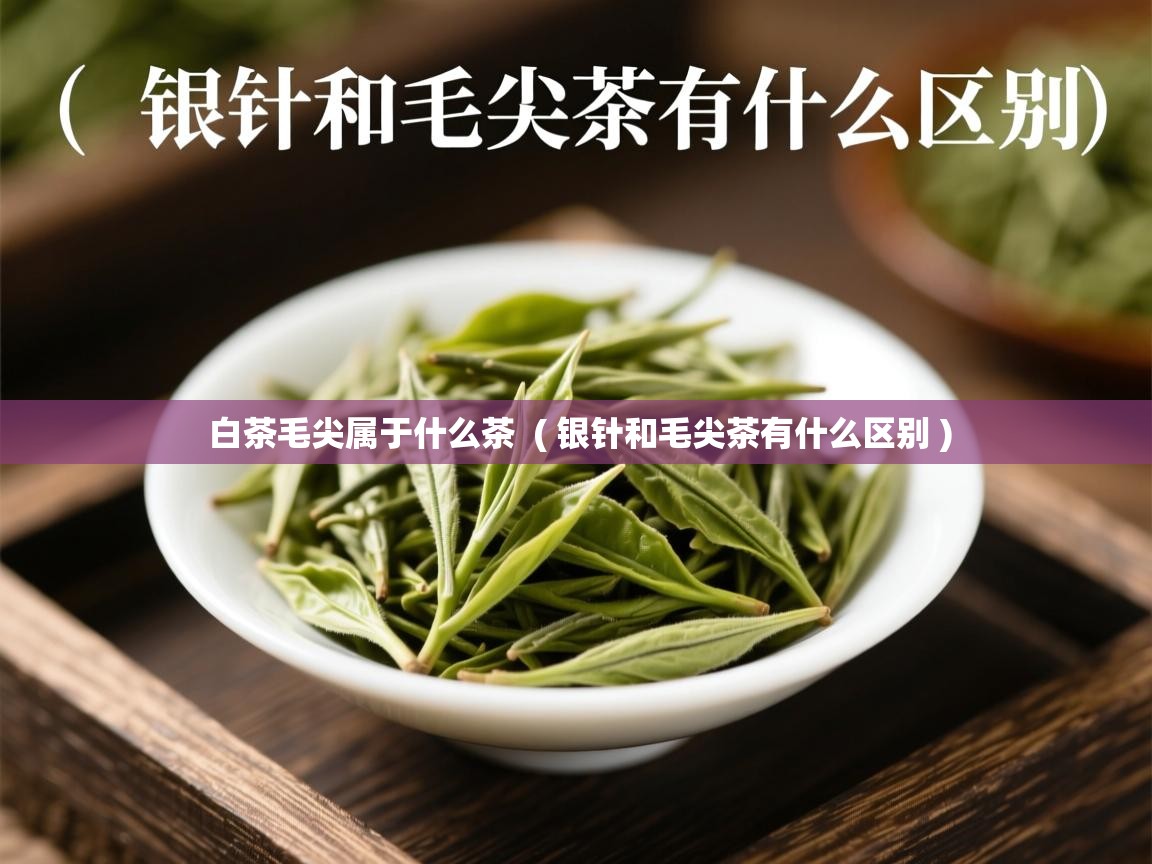  白茶毛尖属于什么茶  ( 银针和毛尖茶有什么区别 )