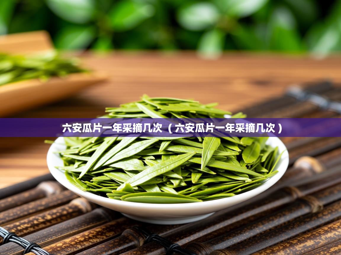  六安瓜片一年采摘几次  ( 六安瓜片一年采摘几次 )
