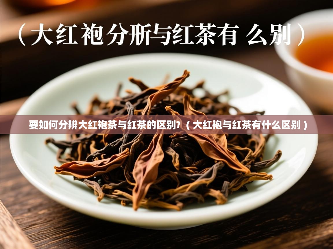  要如何分辨大红袍茶与红茶的区别?  ( 大红袍与红茶有什么区别 )