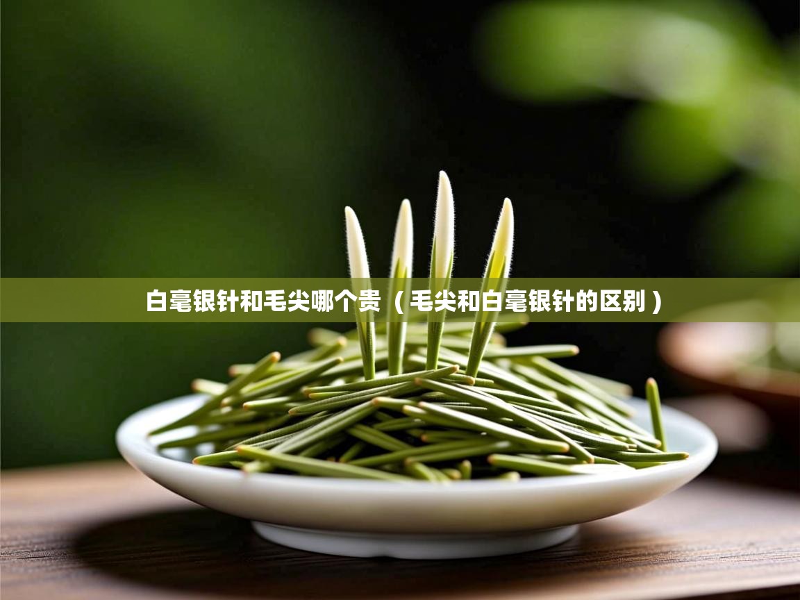 白毫银针和毛尖哪个贵  ( 毛尖和白毫银针的区别 )