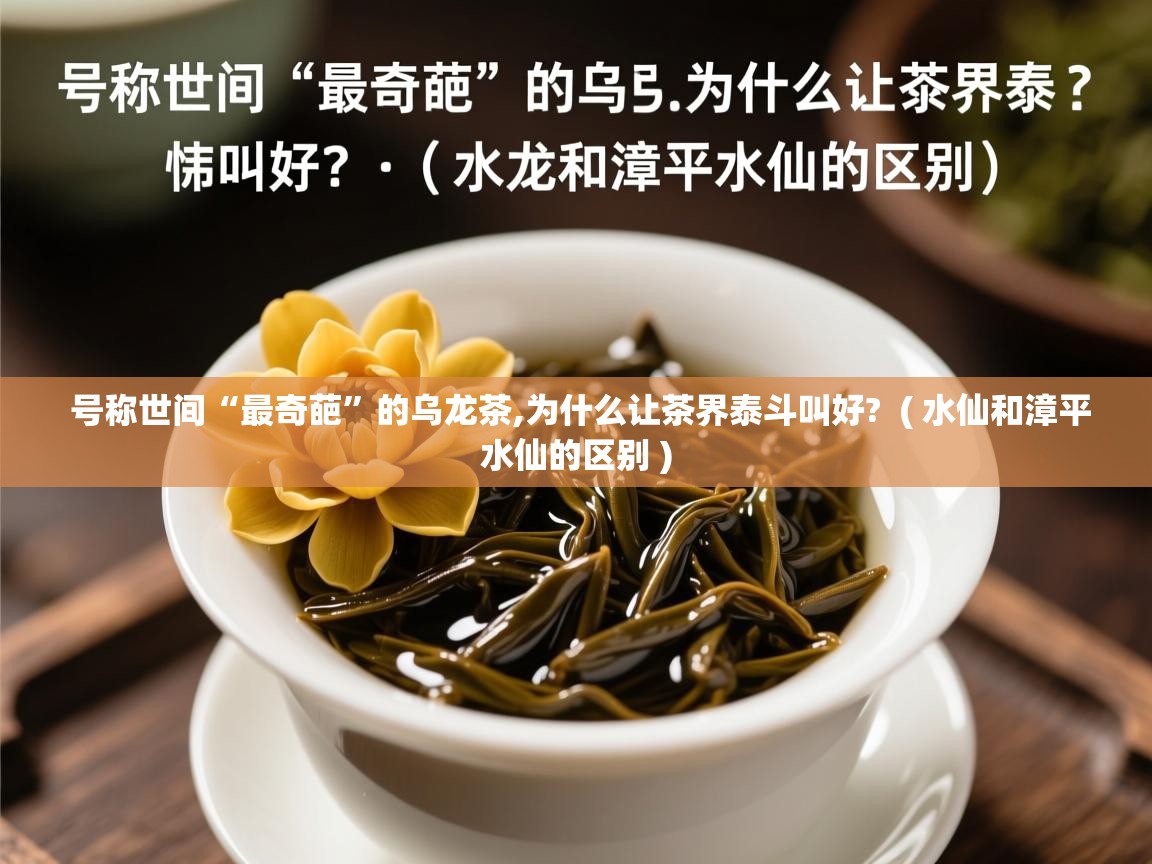  号称世间“最奇葩”的乌龙茶,为什么让茶界泰斗叫好?  ( 水仙和漳平水仙的区别 )